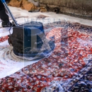 Megerian Rug Cleaners - Carpet & Rug Cleaners-Water Extraction