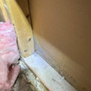 FDP Mold Remediation of Miami - Mold Remediation