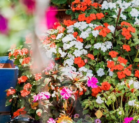 Samford Valley Garden Centre - Samford Village, QLD