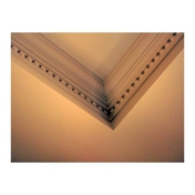 Gallery Image Number 3