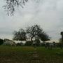Los Angeles Odd Fellows Cemetery
