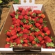 Strawberry Hill Farm