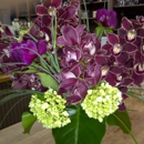 Allendale Flowers - Flowers, Plants & Trees-Silk, Dried, Etc.-Retail