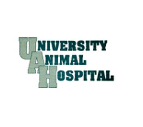 University Animal Hospital PA - Orlando, FL