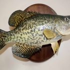 Nature's Way Taxidermy