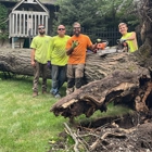 Tomax Tree Service