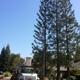 Ski's Tree Service