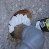 Truly Nolen Pest and Termite Control Grove City gallery