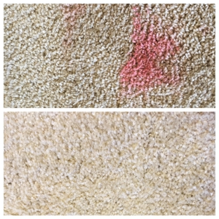 Bulldog Floor Cleaning - Abilene, TX. 1-year old kool aid Stain safely extracted.