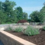Cumberland Valley Tree Service - Landscaping