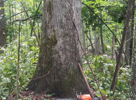 Crawley Select Logging - Callands, VA