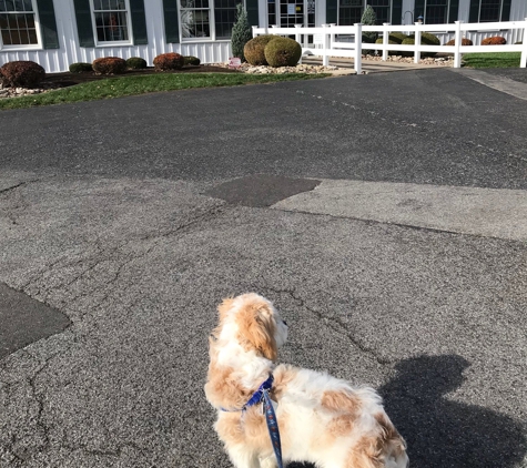 Amherst Boarding Kennel - East Amherst, NY