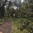 Annadel State Park