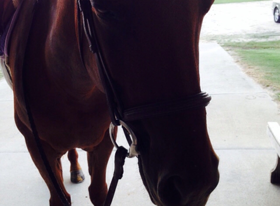 Halcyon Stables - La Grange, NC