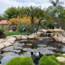 San Diego Ponds | Koi Pond Installer - Ponds & Pond Supplies