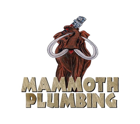 Mammoth Plumbing - Houston, TX