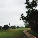 Pelican Bay Golf Club North - Golf Courses