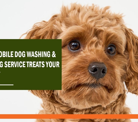 Foxy's Mobile Dog Washing & Grooming Service - Hawthorn, VIC. Foxy's Mobile Dog Washing & Grooming Service treats your pet right.