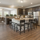 Chesterfield Estates By Maronda Homes - Home Builders