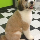 Delmar Doggie Design - Dog & Cat Grooming & Supplies