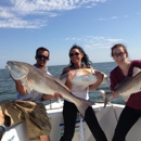 Big Fish Charters - Fishing Bait