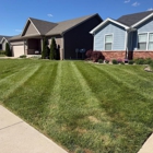 Castile lawn service