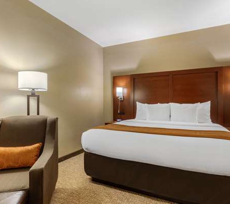 Comfort Inn Downtown - Memphis, TN