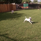 Kennel Comfort Pet Motel and Dog Training Tucson