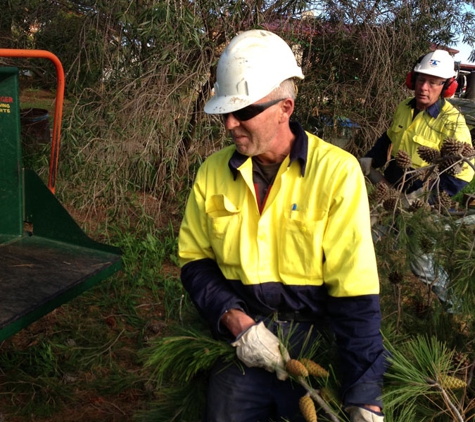 Steve McGrath's Tree Service - Parkes, NSW