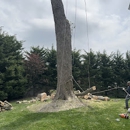 Family Tree Service - Tree Service