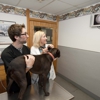 Lilley Veterinary Medical Center gallery