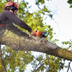 Big Brothers Tree Service