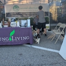 Sound Alternative - Massage Therapists