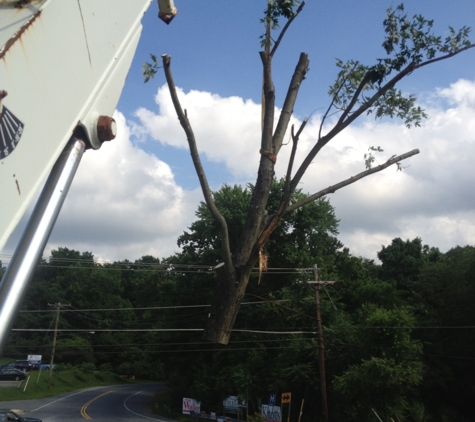 Barton's Tree Care LLC - Crofton, MD