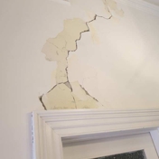 Gallery Image Number 1