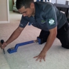 NTS Carpet Cleaning gallery