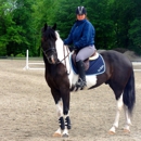 Blackstone Stables - Horse Training