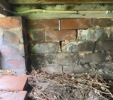 Precision Building. Rising Damp