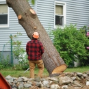 Collins Tree Service - Tree Service