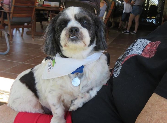 Pet Mama - Kuraby, QLD. so happy