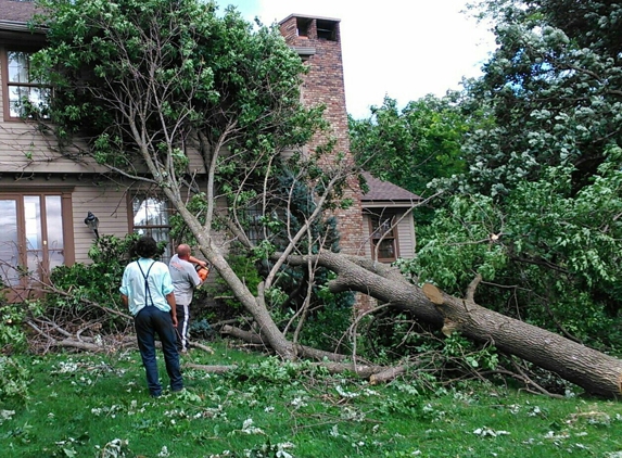 Even Family Tree Removal - Hazleton, IA. Call us in any emergency we can help '!Tree falls on your house call us we'll remove it -SATISFACTION GUARANTED! '