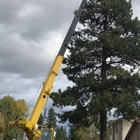 American Quality Tree Services