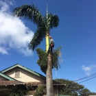 Niu Mana Palm & Tree Care LLC