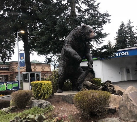 Brown Bear Car Wash - Redmond, WA