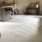 ON THE SPOT CARPET CLEANING