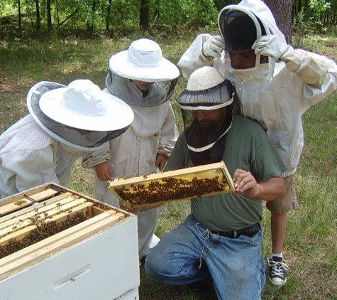 T & S Bee Farm - Sale City, GA