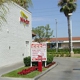 In-N-Out Burger