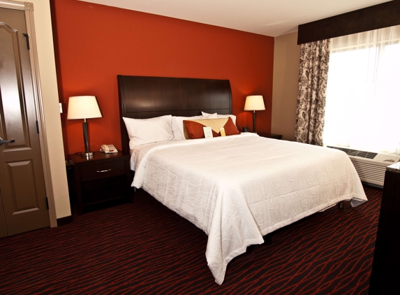 Hilton Garden Inn - Rapid City, SD