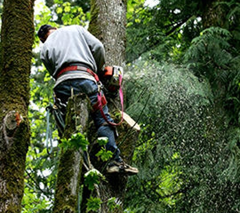 Turner Tree Service - Jacksonville, IL