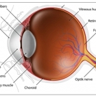 Glaucoma Associates of Texas